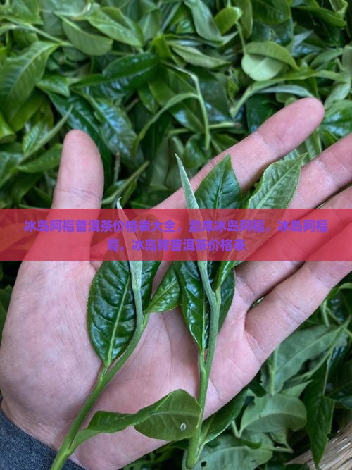 冰岛阿福普洱茶价格表