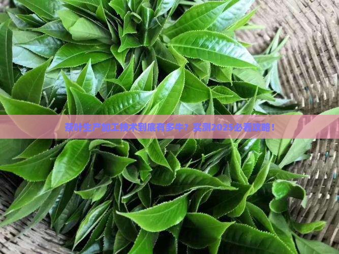 茶叶生产与加工技术是干嘛的