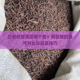 白茶和普洱茶哪个香