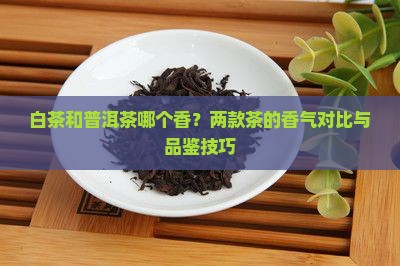 白茶和普洱茶哪个香