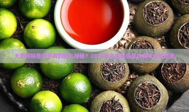 大黑树林普洱茶的特点
