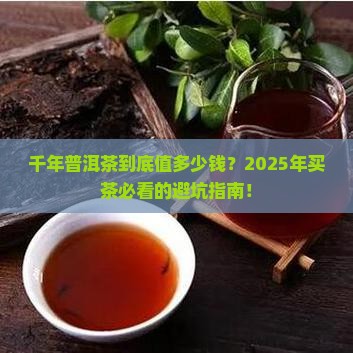 千年普洱茶多少钱
