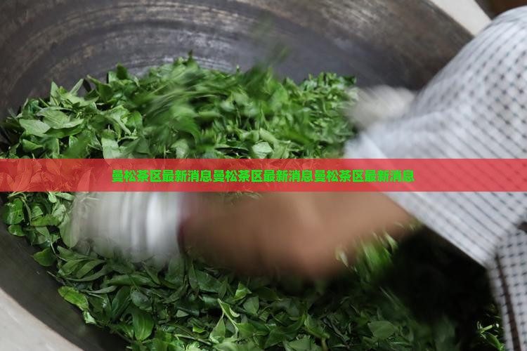 曼松茶区最新消息