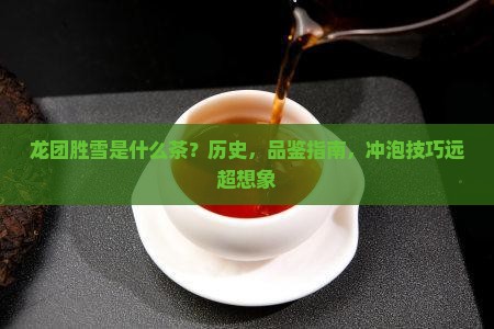 龙团胜雪是什么茶
