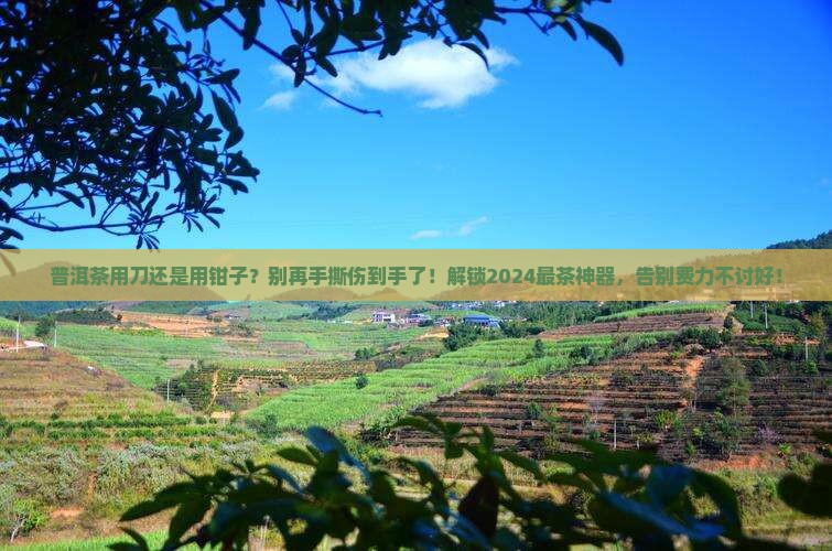 普洱茶用刀还是用钳子