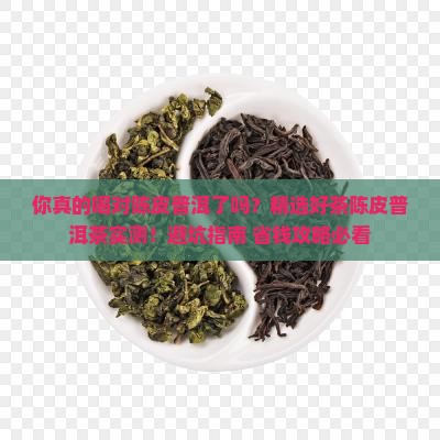 精选好茶陈皮普洱茶