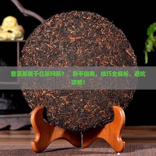 普洱茶属于红茶吗茶