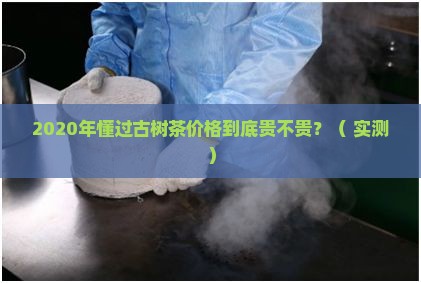2020年懂过古树茶价格