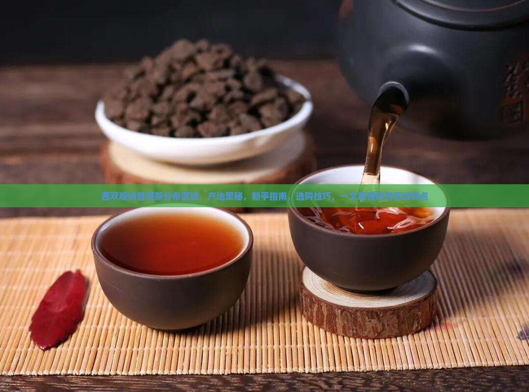 西双版纳普洱茶分布区域