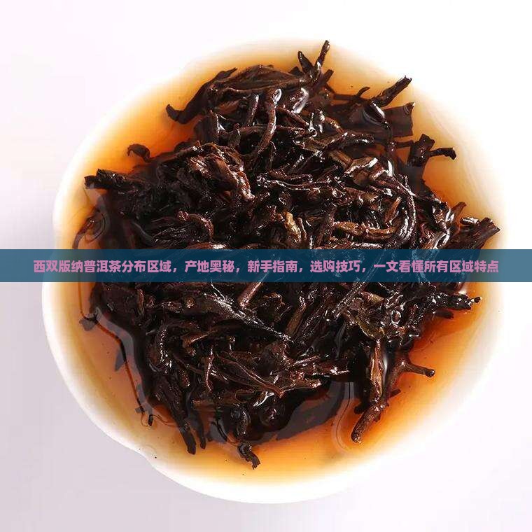 西双版纳普洱茶分布区域