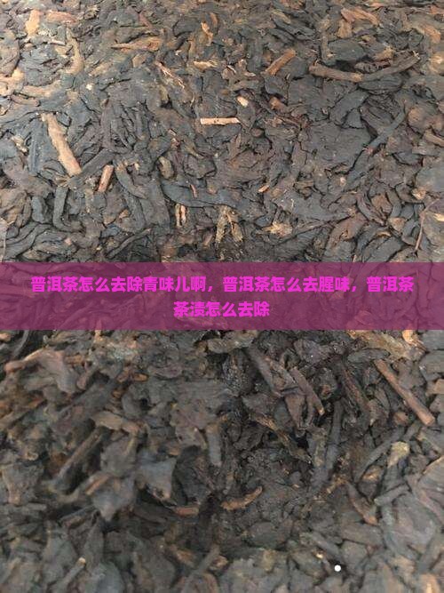 普洱茶怎么去除青味儿啊
