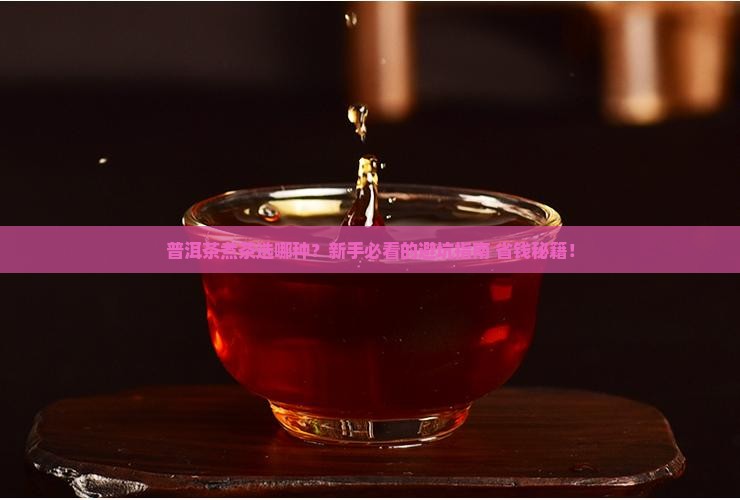 普洱茶煮茶选哪种