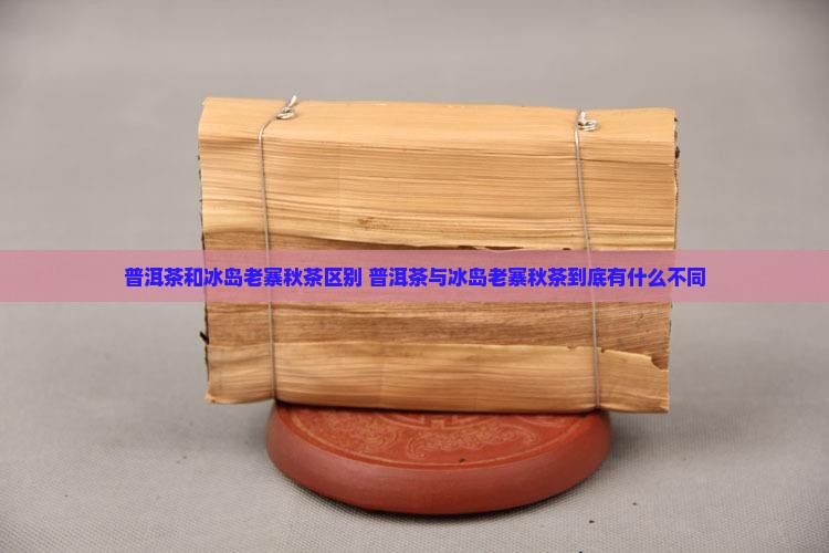 普洱茶和冰岛老寨秋茶区别