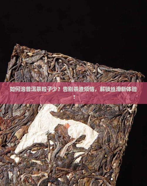 如何泡普洱茶粒子少
