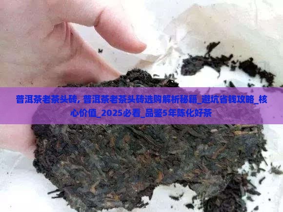 普洱茶老茶头砖