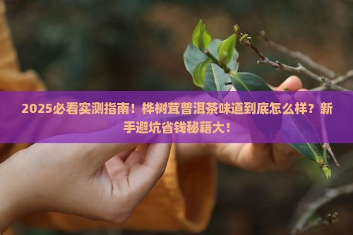桦树茸普洱茶味道怎么样