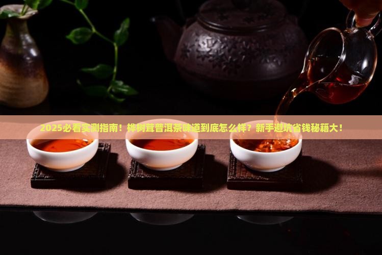 桦树茸普洱茶味道怎么样