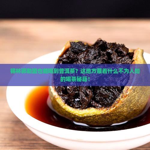 锡林郭勒盟普洱茶