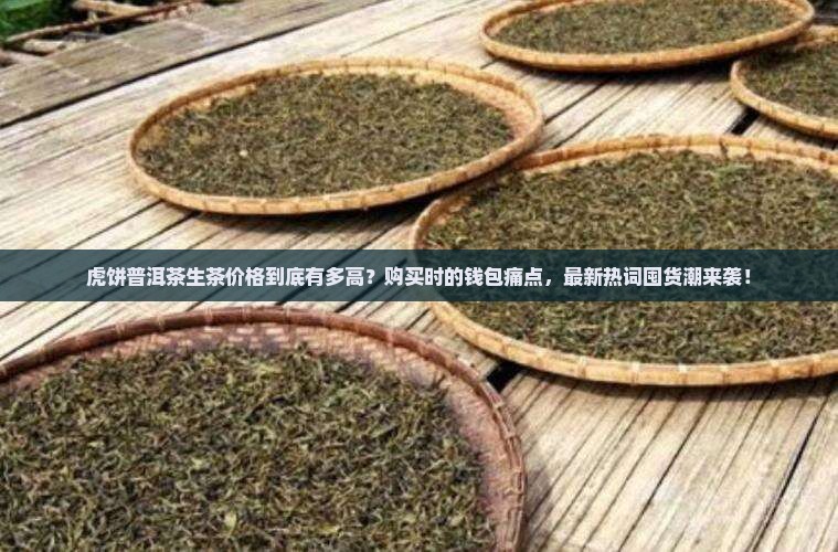 虎饼普洱茶生茶价格