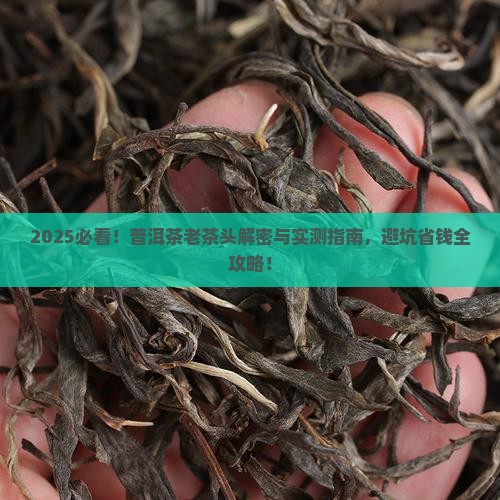 普洱茶老茶头品牌