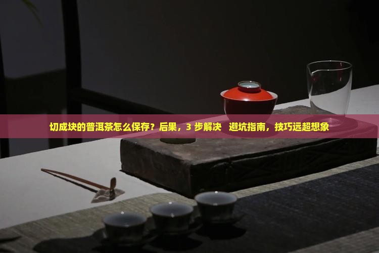 切成块的普洱茶怎么保存