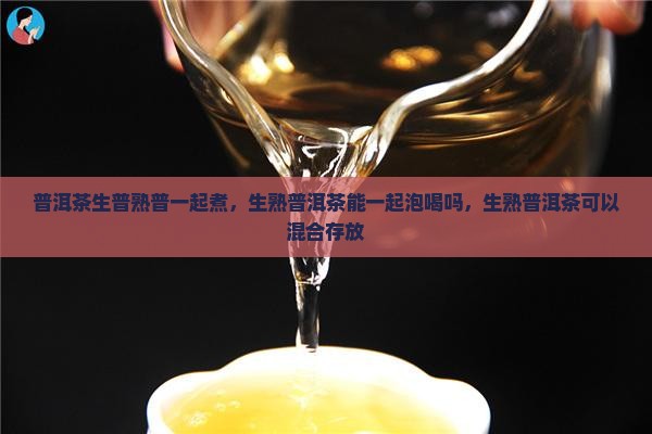 普洱茶生普熟普一起煮