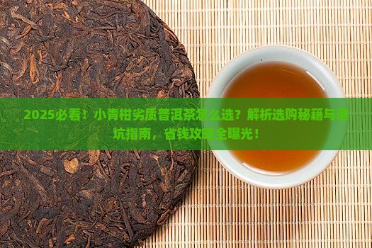小青柑劣质普洱茶