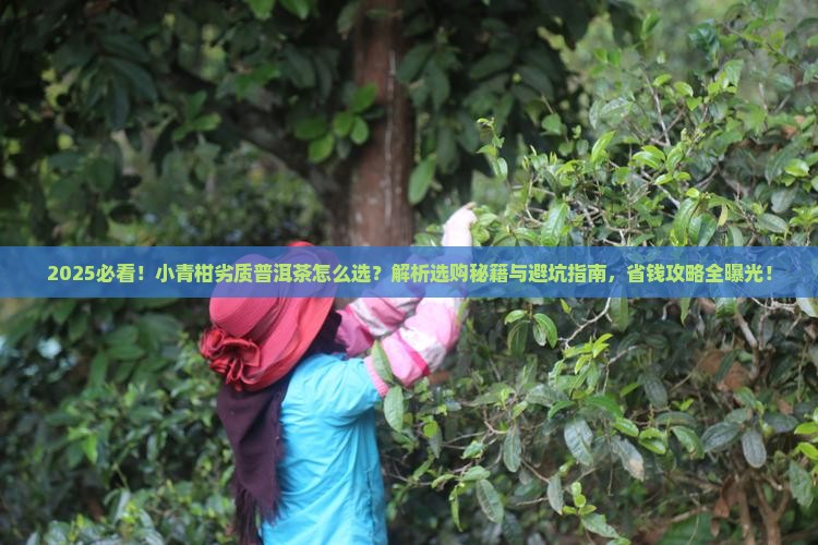 小青柑劣质普洱茶