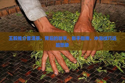 王毅推介普洱茶