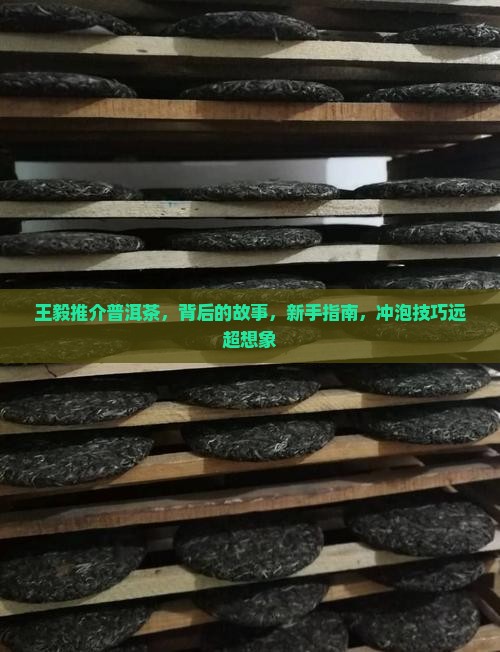 王毅推介普洱茶