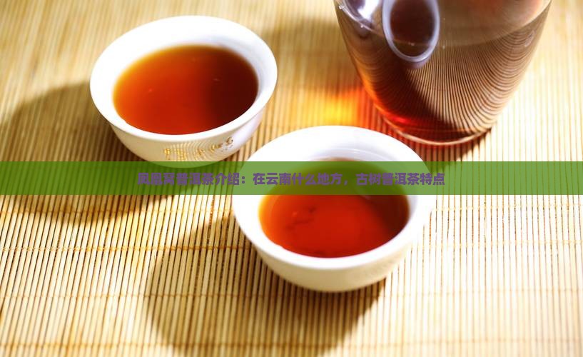 凤凰窝普洱茶品牌介绍