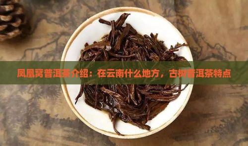凤凰窝普洱茶品牌介绍