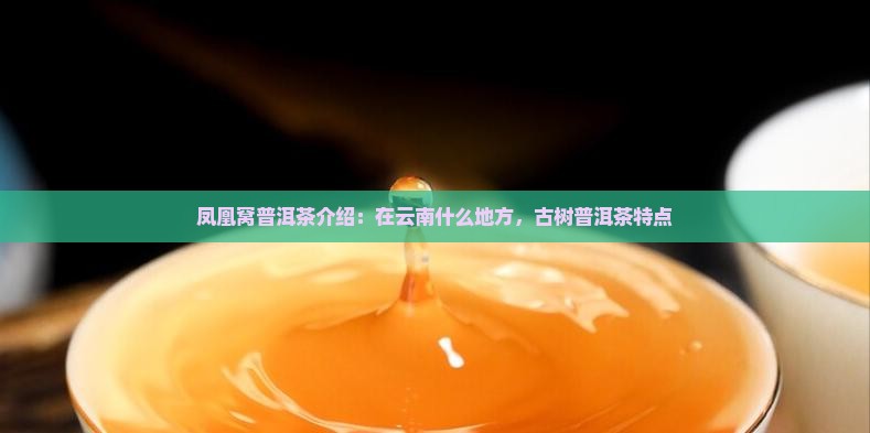 凤凰窝普洱茶品牌介绍