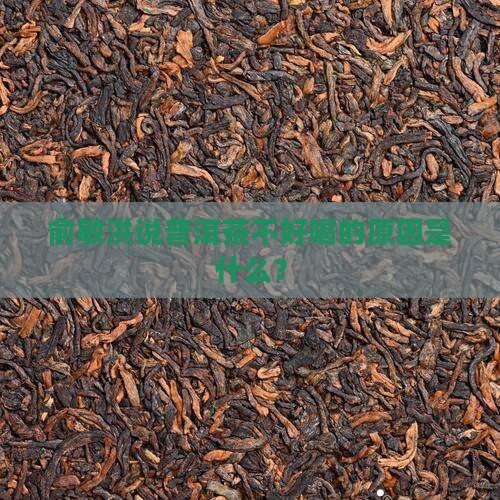 俞敏洪说普洱茶不好喝的原因 俞敏洪说普洱茶不好喝的原因