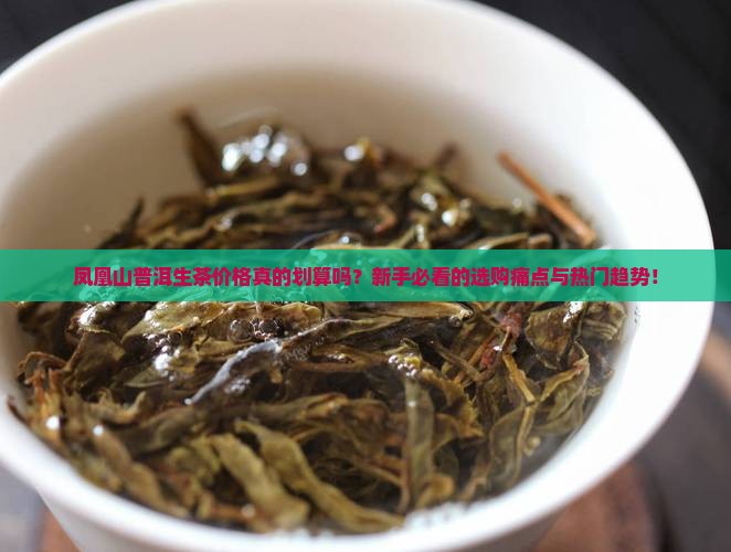 凤凰山普洱生茶价格