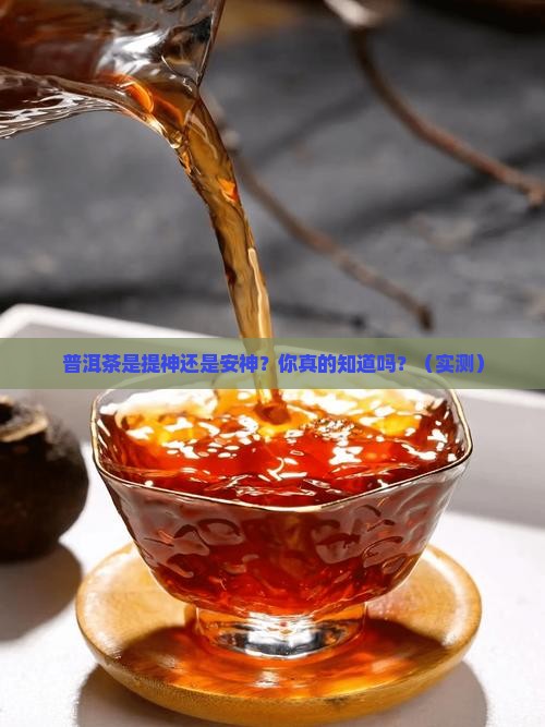 普洱茶萃提神还是安神
