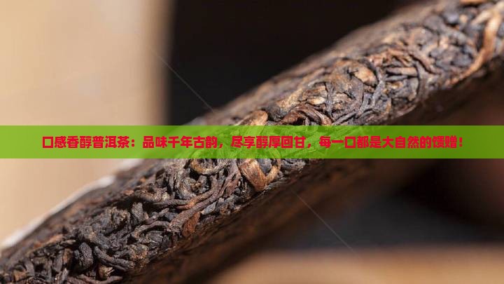 口感香醇普洱茶