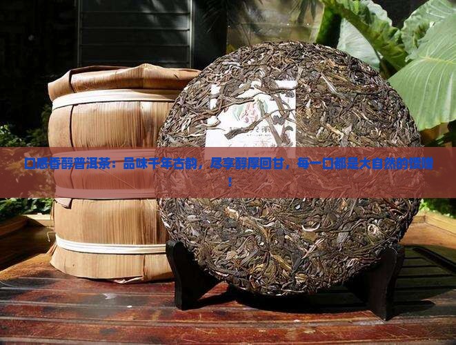 口感香醇普洱茶