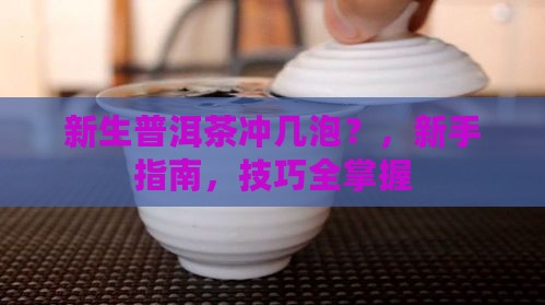 新生普洱茶冲几泡