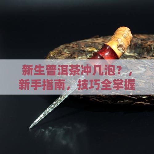 新生普洱茶冲几泡