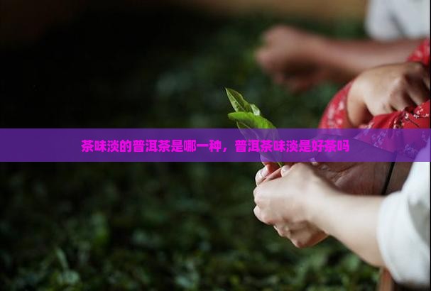 茶味淡的普洱茶是哪一种