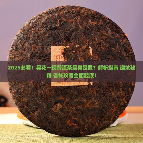 昙花一现普洱茶