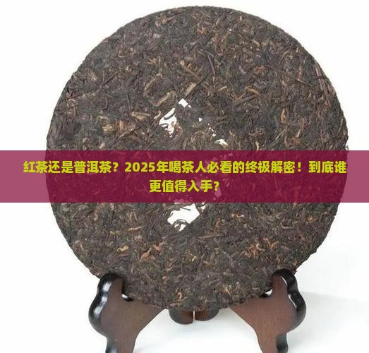 红茶和普洱茶哪种好