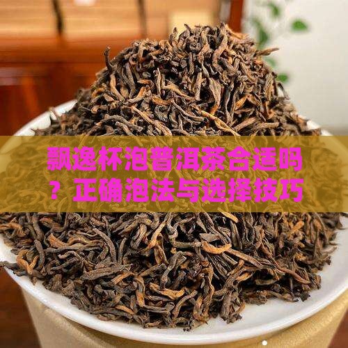 飘逸杯泡普洱茶合适吗