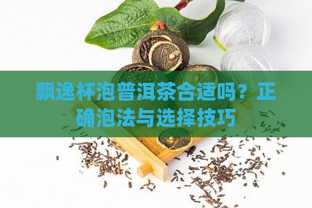 飘逸杯泡普洱茶合适吗