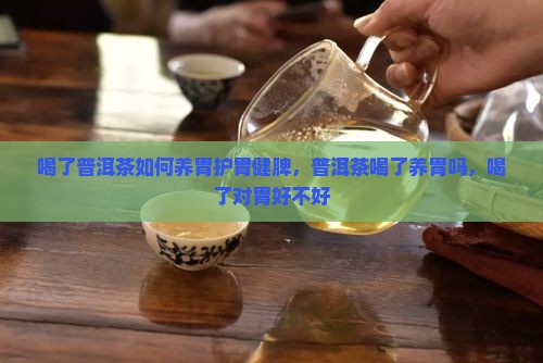 喝了普洱茶如何养胃