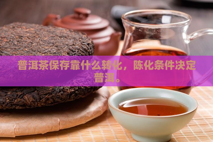普洱茶保存靠什么转化