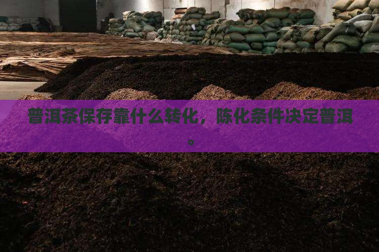 普洱茶保存靠什么转化