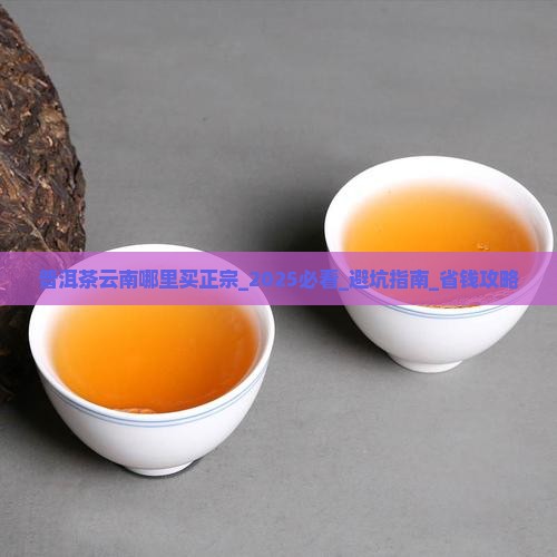 普洱茶云南哪里买正宗