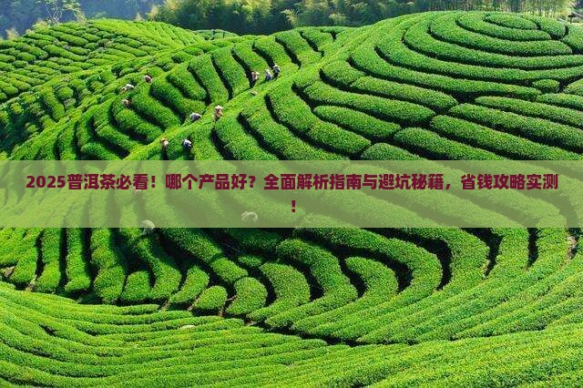普洱茶哪个产品好